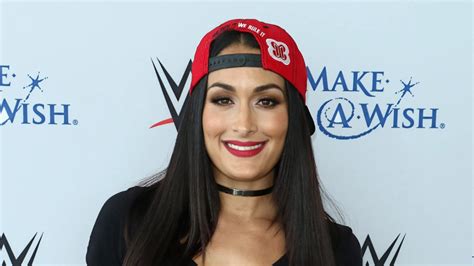 nikki bella net worth|Nikki Bella Net Worth